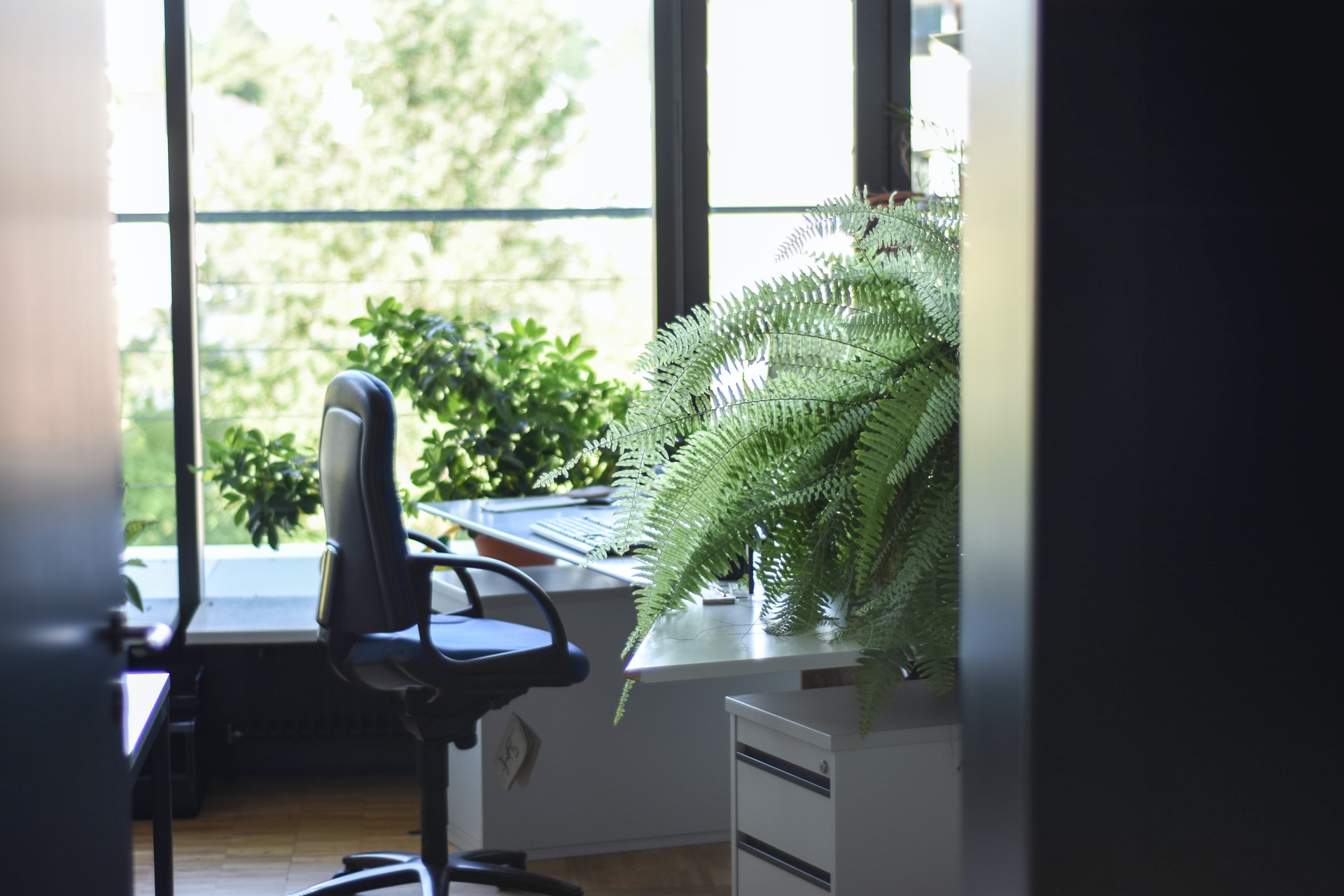 5 tipp a kellemes iroda kialakításához
